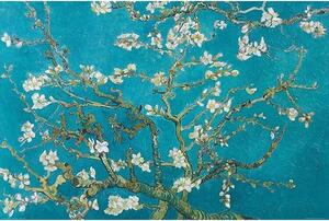 Poster Almond Blossoms, (91.5 x 61 cm)