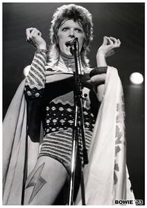 Poster David Bowie - Ziggy Stardust 1973, (59.4 x 84.1 cm)
