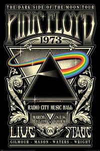Poster Pink Floyd - 1973, (61 x 91.5 cm)