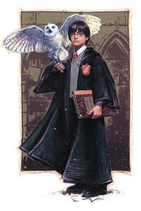 Art Poster Harry Potter with Hedvig - Art, (26.7 x 40 cm)