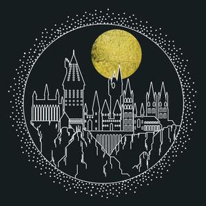 Art Poster Harry Potter - Hogwarts, (40 x 26.7 cm)