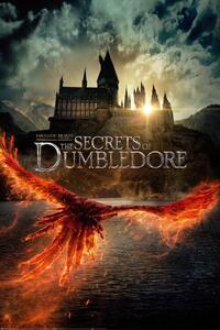 Poster Fantastic Beasts - The Secrets of Dumbledore, (61 x 91.5 cm)