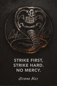 Poster Cobra Kai - Metal, (61 x 91.5 cm)