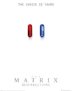 Poster The Matrix: Resurrections - The Choice is Yours, (61 x 91.5 cm)