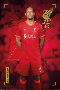 Poster Liverpool FC - Virgil Van Dijk, (61 x 91.5 cm)
