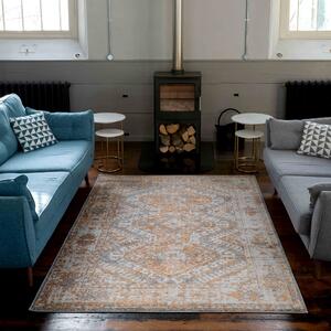 Oriental Distressed Vintage Living Room Rugs | Choose Your Colour