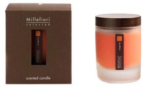 SELECTED SCENTED CANDLE IN JAR - End of Line - Oasi