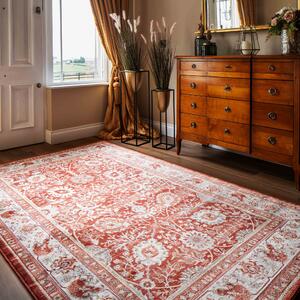 Vintage Traditional Terracotta Floral Living Room Rug | Catalina