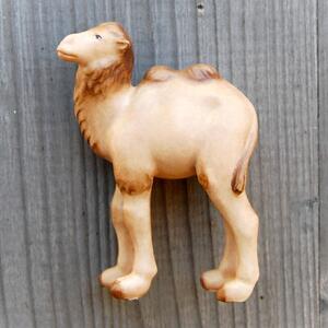 Camel For Nativity - African