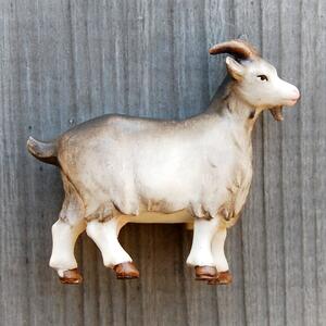 Nativity Animals - Goat - African