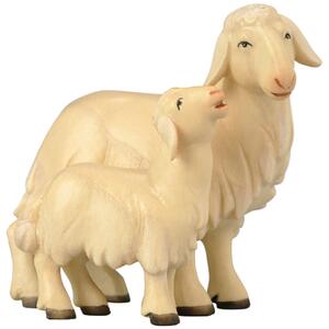Sheep with lamb - Morning Star