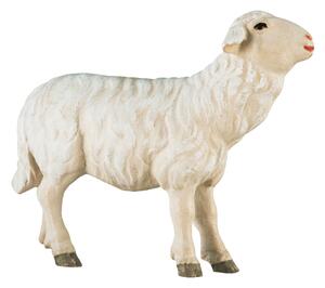 Sheep towards Shepherd - straight - Folk