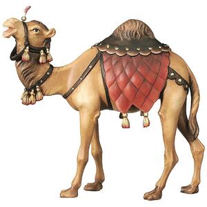 Camel - Folk