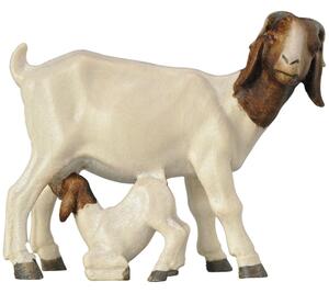 Boer goat with fawn