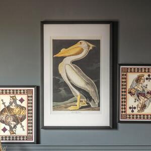 Inquisitive 91cm x 61cm Pelican Framed Art