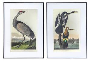 Exotic Fowl Study Framed Art Set of 2