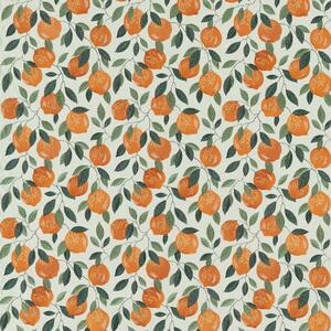 Clarke & Clarke Sicilian Fabric Orange