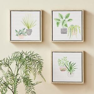 Set of 3 Plants Canvases Green/Black/Pink