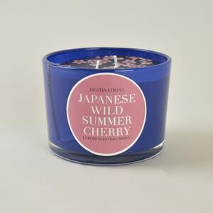 Japan Two Wick Candle Blue