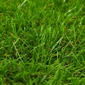 Artificial Grass 0.5x5 m/40 mm Green