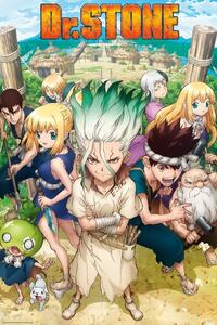 Poster DR. Stone - Group, (61 x 91.5 cm)