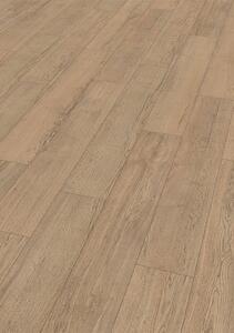 EGGER HOME Natural Elva Oak 8mm Laminate Flooring