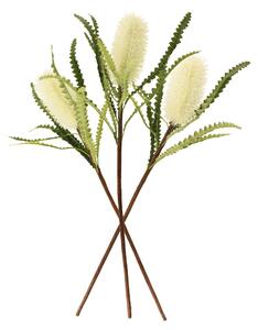Cream Ashby's Banksia Stem 3 Pack Off White