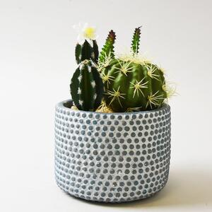 Artificial Cactus Green in Textured Pot 19cm Grey/White