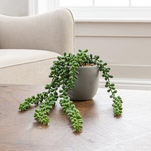 Artificial String of Pearls in Cement Pot 16cm Green