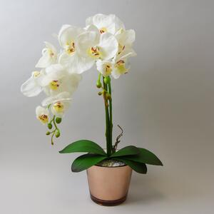 Cream Orchid in Gold Glass Pot 52cm Cream