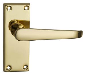 Homebuild Victorian Straight Short Backplate Internal Door Pack - Polished Brass