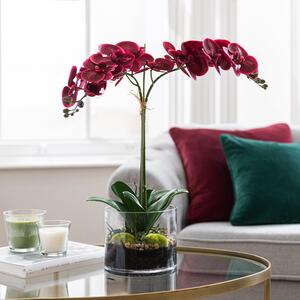 Dorma Artificial Orchid in Vase 57cm Pink