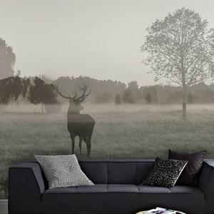 Stag In The Woods Wall Mural