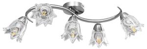 Ceiling Lamp with Transparent Glass Shades for 5 E14 Bulbs Tulip