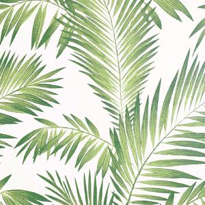 Tropical Palm Geen Artistick Wallpaper