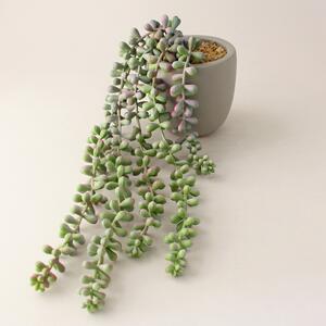 Green Artificial String of Pearls in Cement Pot Green