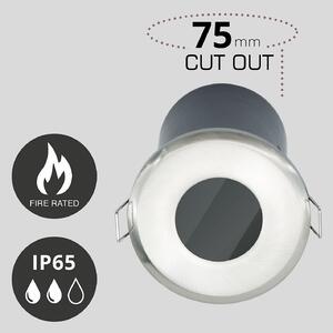 Fixed Fire Rated IP65 Single Downlight - Brushed Nickel