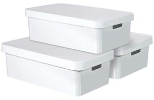 Curver Infinity Storage Box with Lid 3 pcs 30 L White 240671
