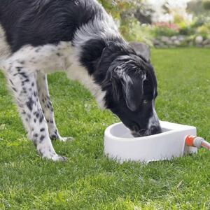 TRIXIE Automatic Pet Water Feeder Plastic