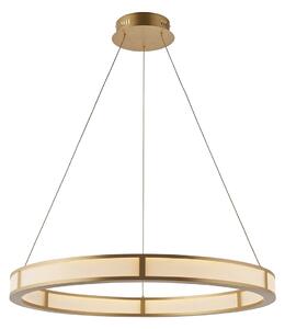 Claudia Ribbed Hoop Pendant in Brushed Gold Finish and Ribbed Frosted Acrylic