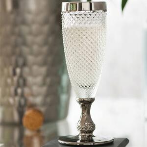 Champagne Silver Rimmed Glass