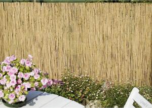Homebase Sprout Reed Garden Screening - 4 x 1m