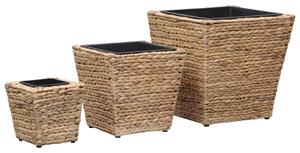 Garden Raised Beds 3 pcs Water Hyacinth