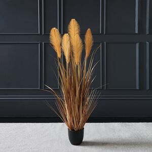 Brown Potted Pampas 120cm Brown