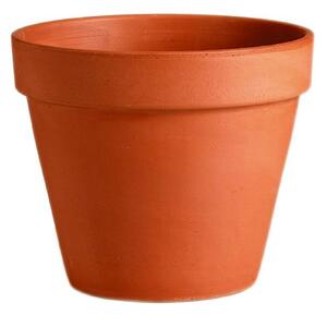 Terracotta Plant Pot - 11cm
