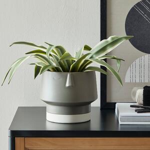 Charcoal Face Planter Grey