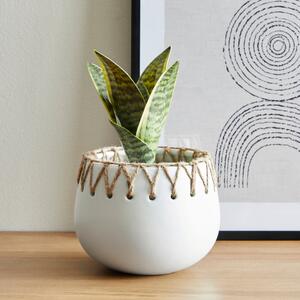 Jute Detailed Pot with Plant White