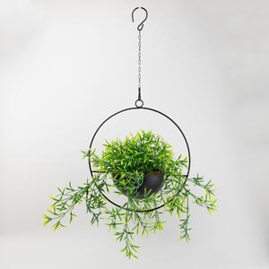 Industrial Round Black Hanging Plant Green