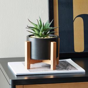 Black Pot on a Wooden Stand with Plant Black