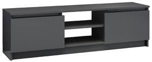 TV Cabinet High Gloss Grey 120x30x35.5 cm Engineered Wood